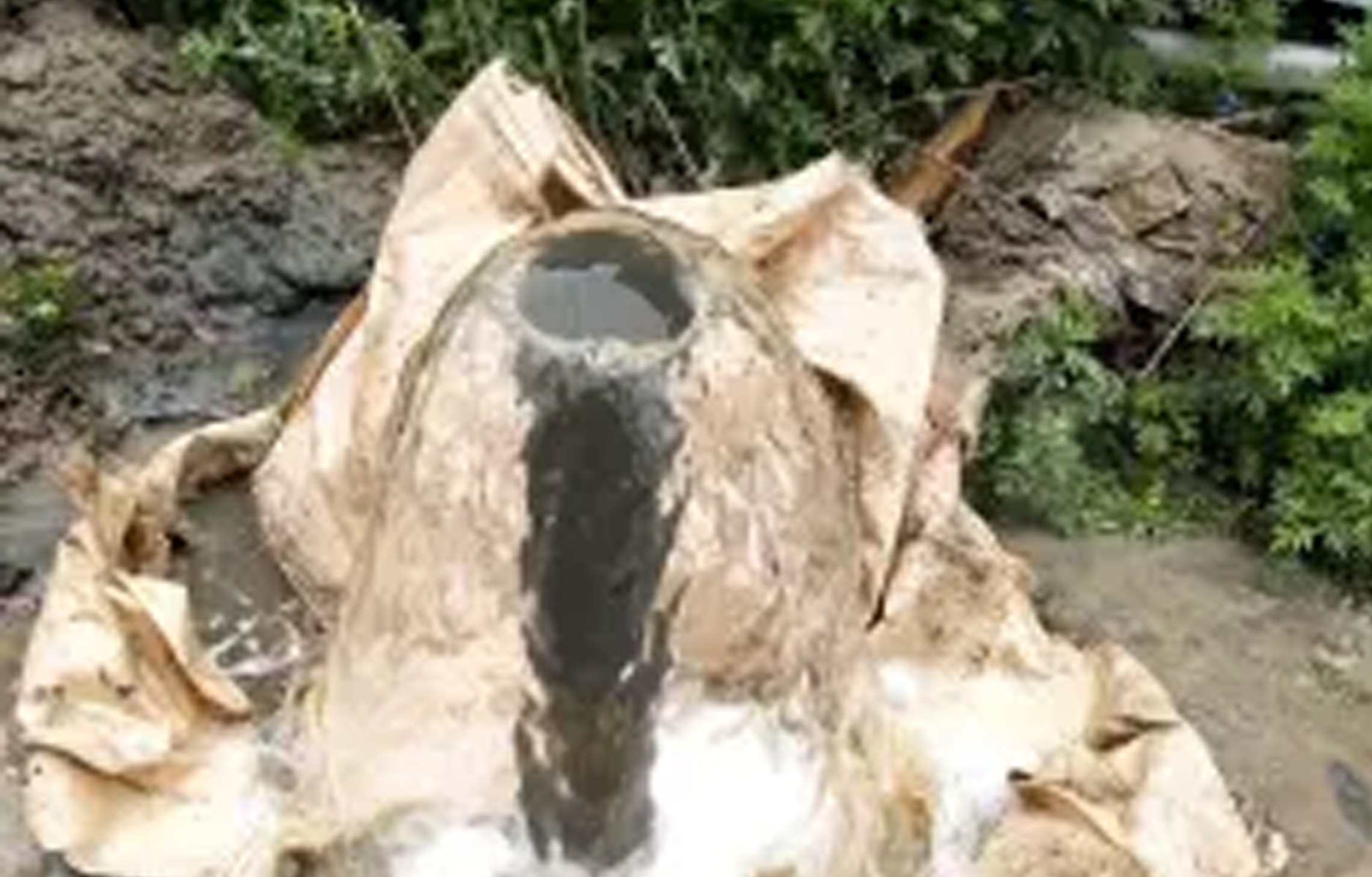 五常农村专业打井要多少钱